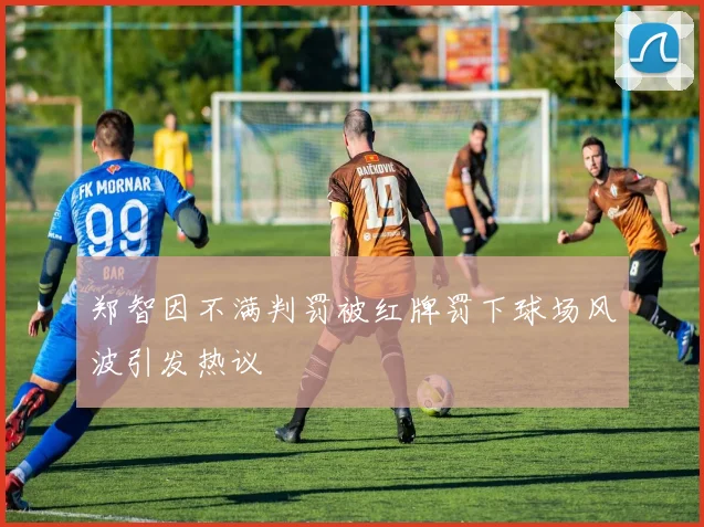 郑智因不满判罚被红牌罚下球场风波引发热议